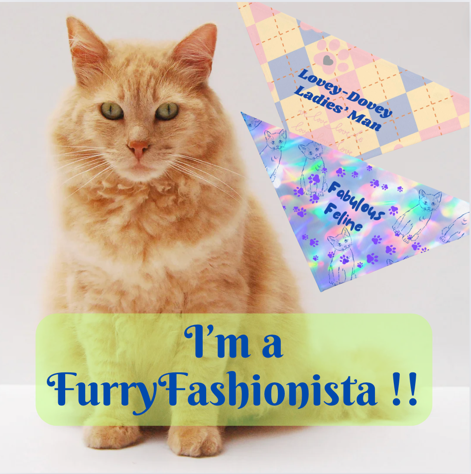 Small Cat Bandana with Fun "Fabulous Feline" Purple Pawprints Design, Pet Accessory, Cat Lady Cat Mom Gift