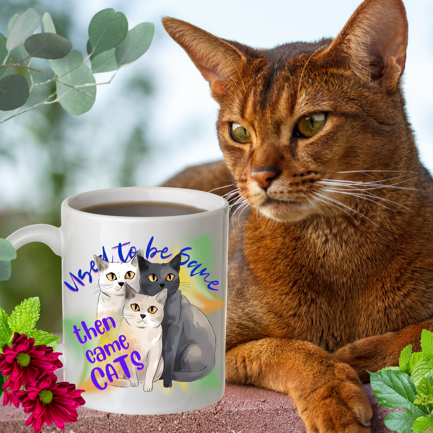 Cat Mom Mug with Fun "Used To Be Sane, Then Cats Came" Slogan, Cat Lover Cat Lady Gift, White Ceramic, 15oz