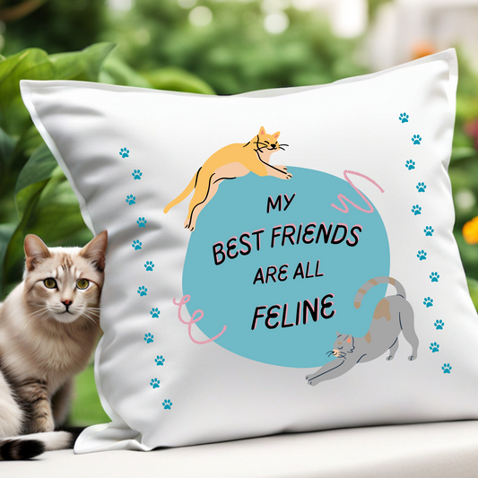 Pet-Lover Patio Pillow, "My Best Friends Are All Feline" Design, UV- and Mildew-Resistant