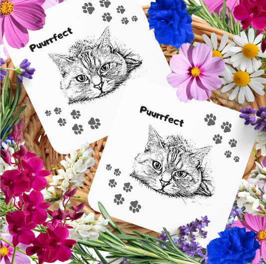 Cat-Lady Coasters, "Puurrfect" Sublimation Design, Cat Themed Gift For Mom, Set of Four