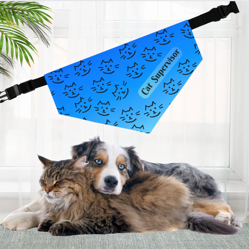 Bright Blue "Cat Supervisor" Bandana COLLAR with Playful Cat Graphics and Easy On-Off Buckle, Fun Dog Mom Gift, 4 Sizes