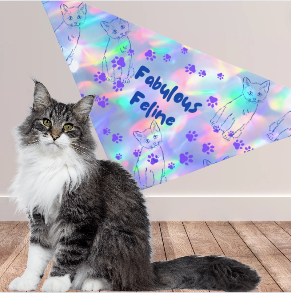 Small Cat Bandana with Fun "Fabulous Feline" Purple Pawprints Design, Pet Accessory, Cat Lady Cat Mom Gift