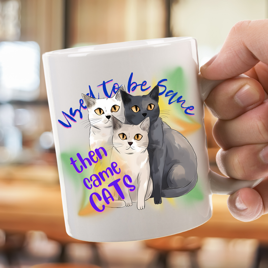 Cat Mom Mug with Fun "Used To Be Sane, Then Cats Came" Slogan, Cat Lover Cat Lady Gift, White Ceramic, 15oz
