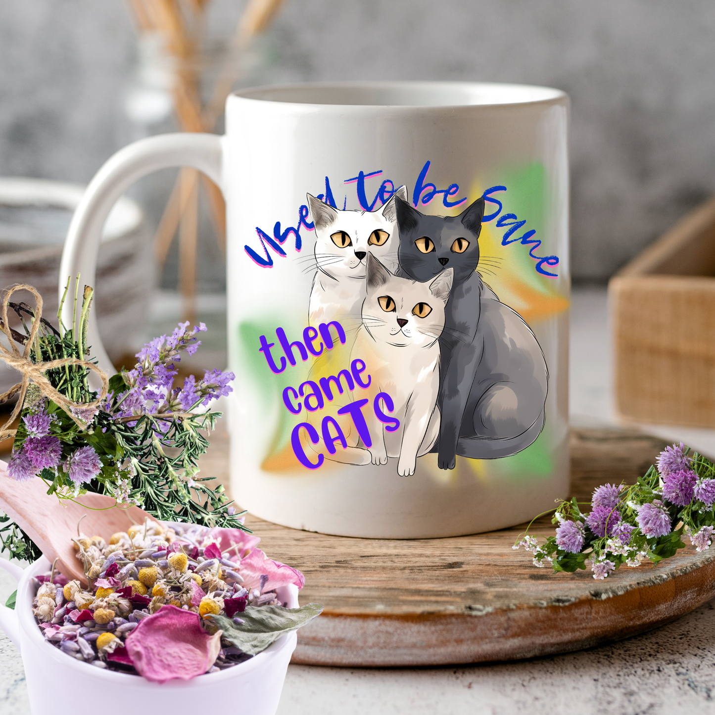 Cat Mom Mug with Fun "Used To Be Sane, Then Cats Came" Slogan, Cat Lover Cat Lady Gift, White Ceramic, 15oz