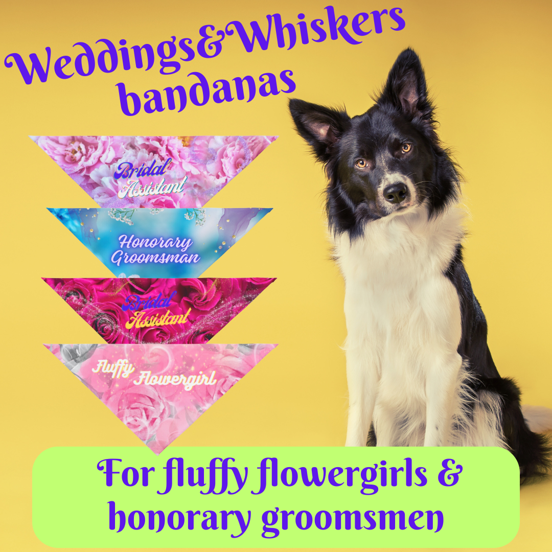WeddingWhiskers Pink Floral "Fluffy Flowergirl" Pet Bandana, Bridal Shower Engagement Party, Gift For Bride, Groom, Dog Mom